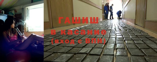 стаф Балахна