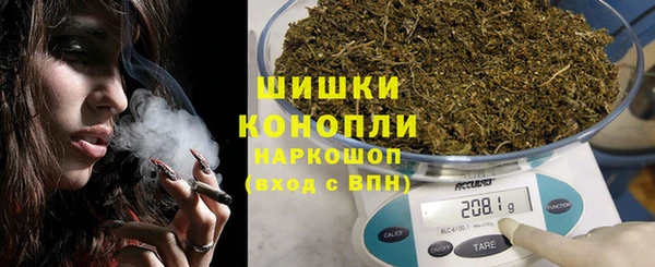 стаф Балахна